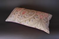 T43 WILLIAM MORRIS CUSHION